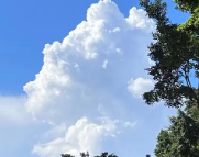 通化天气预报,通化7天天气预报,通化15天天气预报,通化天气查询